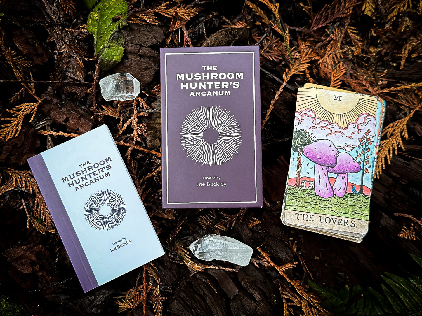 THE MUSHROOM HUNTER'S ARCANUM: A Tarot Deck for Mushroom Hunters