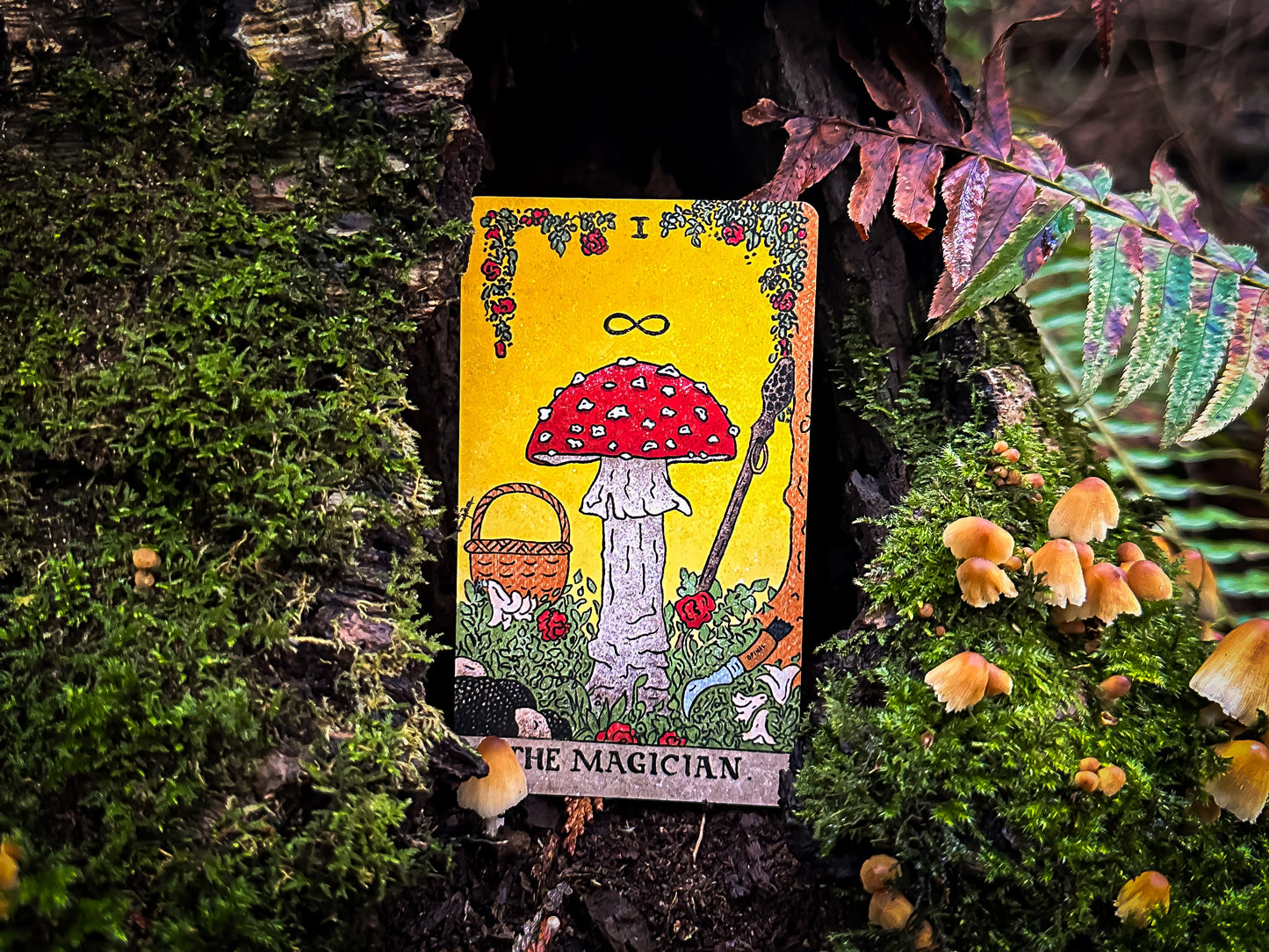 THE MUSHROOM HUNTER'S ARCANUM: A Tarot Deck for Mushroom Hunters