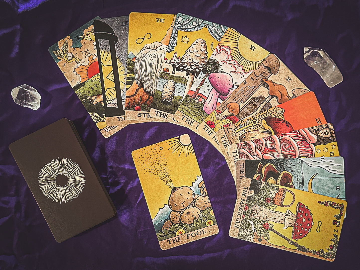 THE MUSHROOM HUNTER'S ARCANUM: A Tarot Deck for Mushroom Hunters