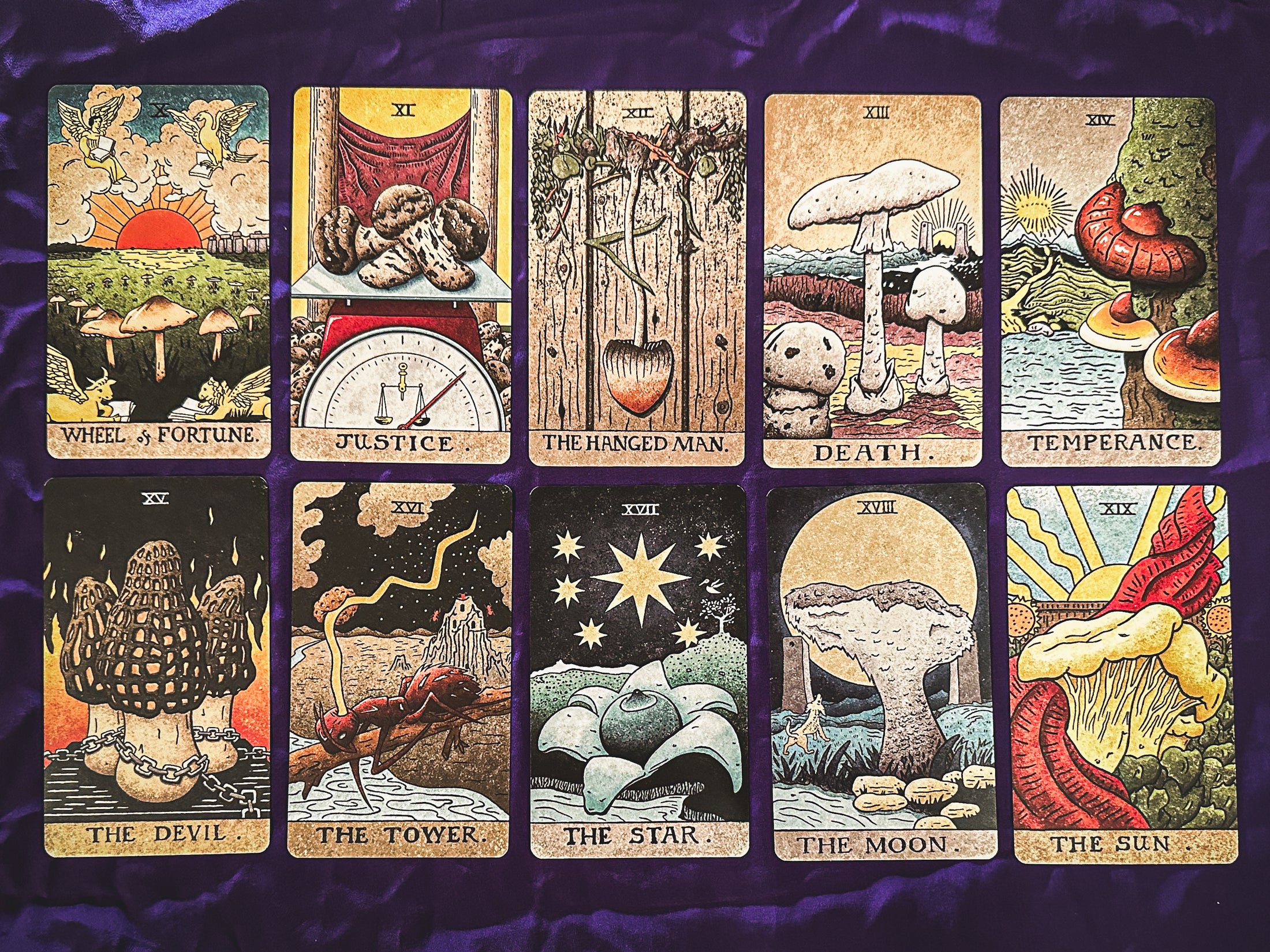 THE MUSHROOM HUNTER'S ARCANUM: A Tarot Deck for Mushroom Hunters – The ...